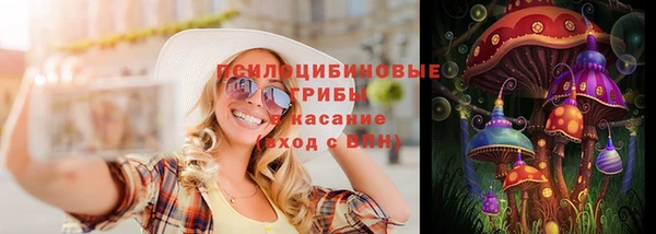 МДПВ Алзамай