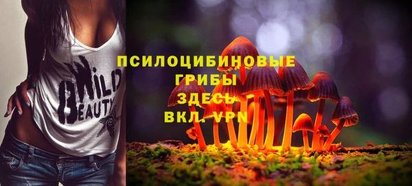 МДПВ Алзамай