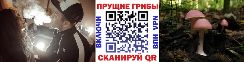 Галлюциногенные грибы мухоморы  Южно-Сахалинск 
